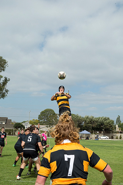 http://www.dannyzapalac.com/files/gimgs/103_rugbythrowin3892.jpg