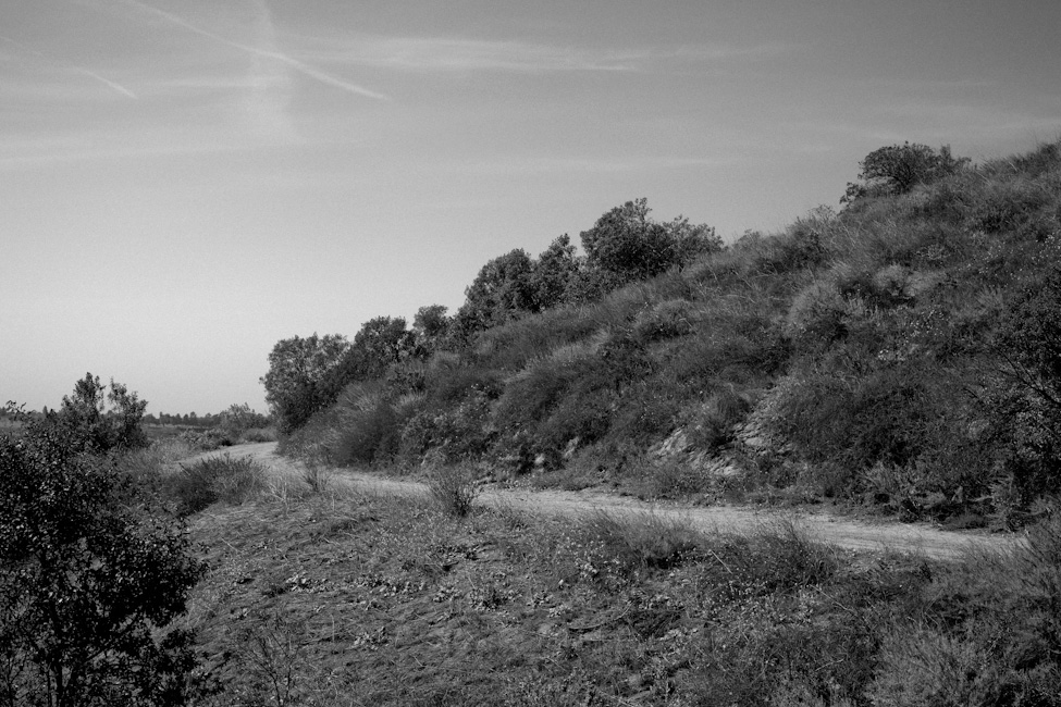 http://www.dannyzapalac.com/files/gimgs/61_ecolocationzapalac-79.jpg